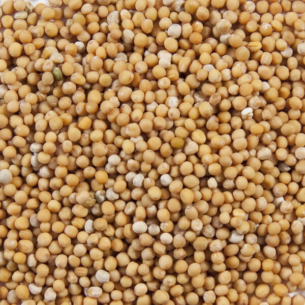 Mustard Seed Whole Yellow- 50g