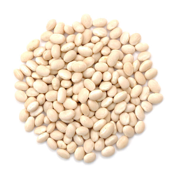 Haricots blancs bio