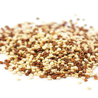 Organic red and white quinoa